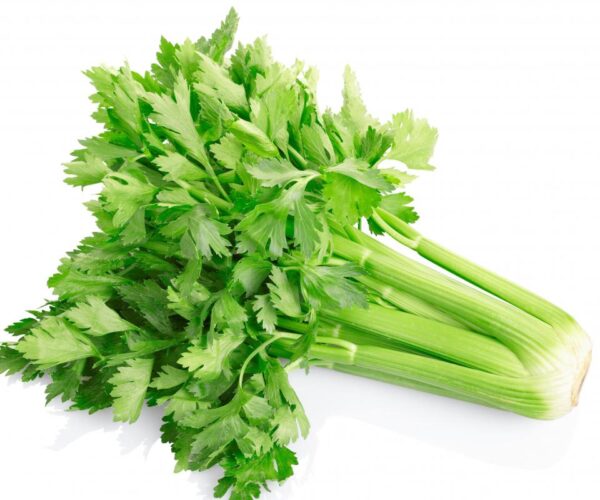 Celery 1 KG